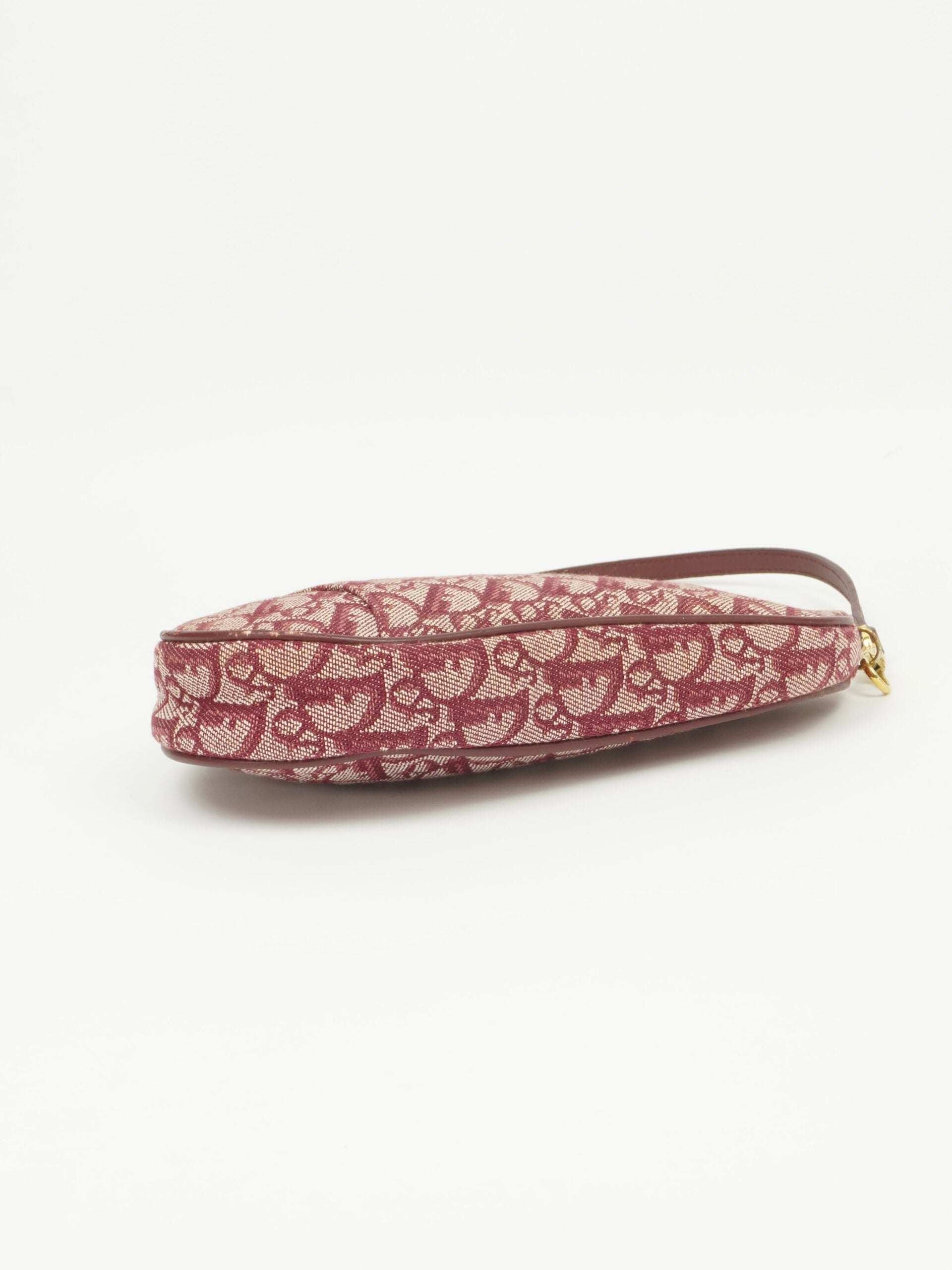 CHRISTIAN DIOR MINI SADDLE