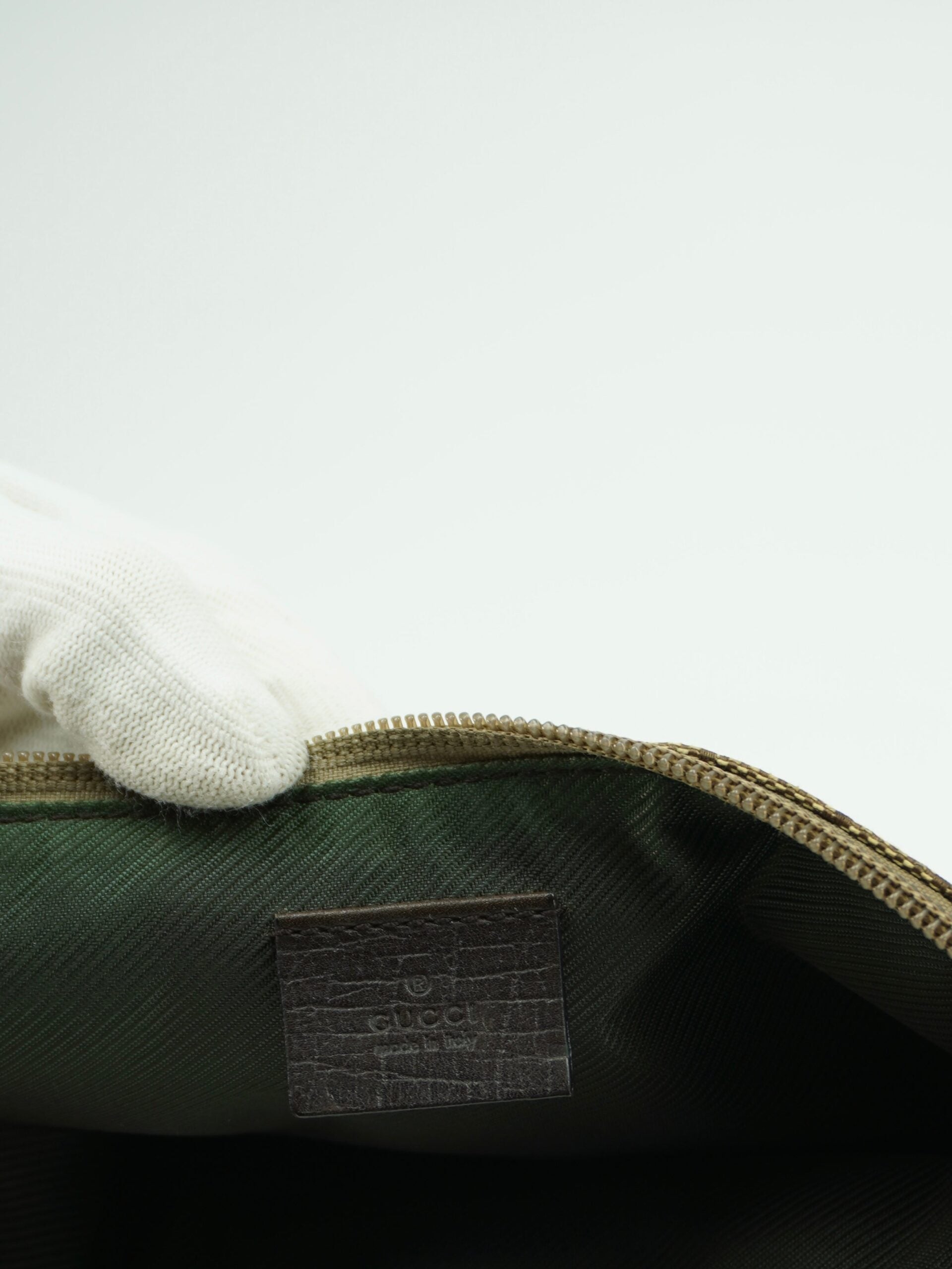 GUCCI MONOGRAM BAG