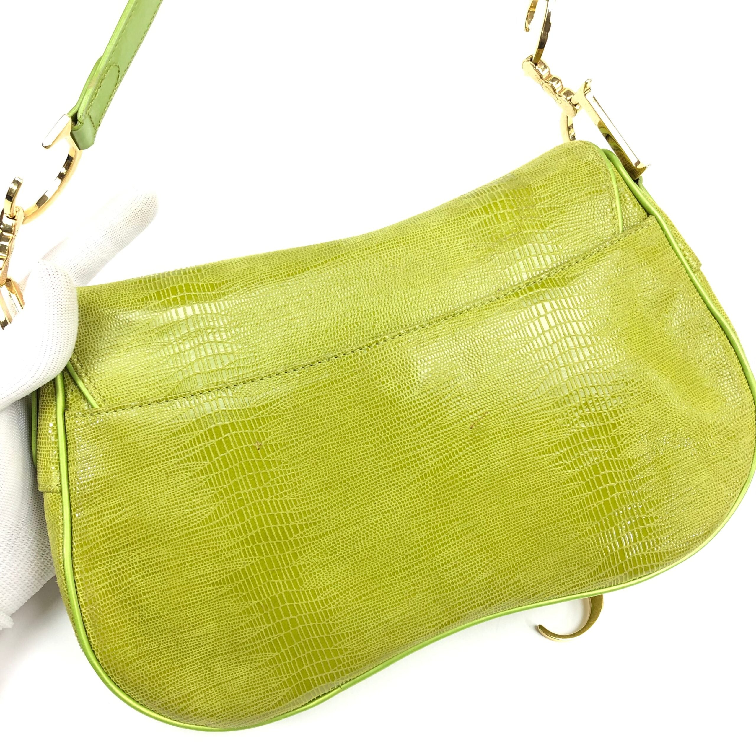 CHRISTIAN DIOR EXOTIC LIZARD DOUBLE SADDLE BAG