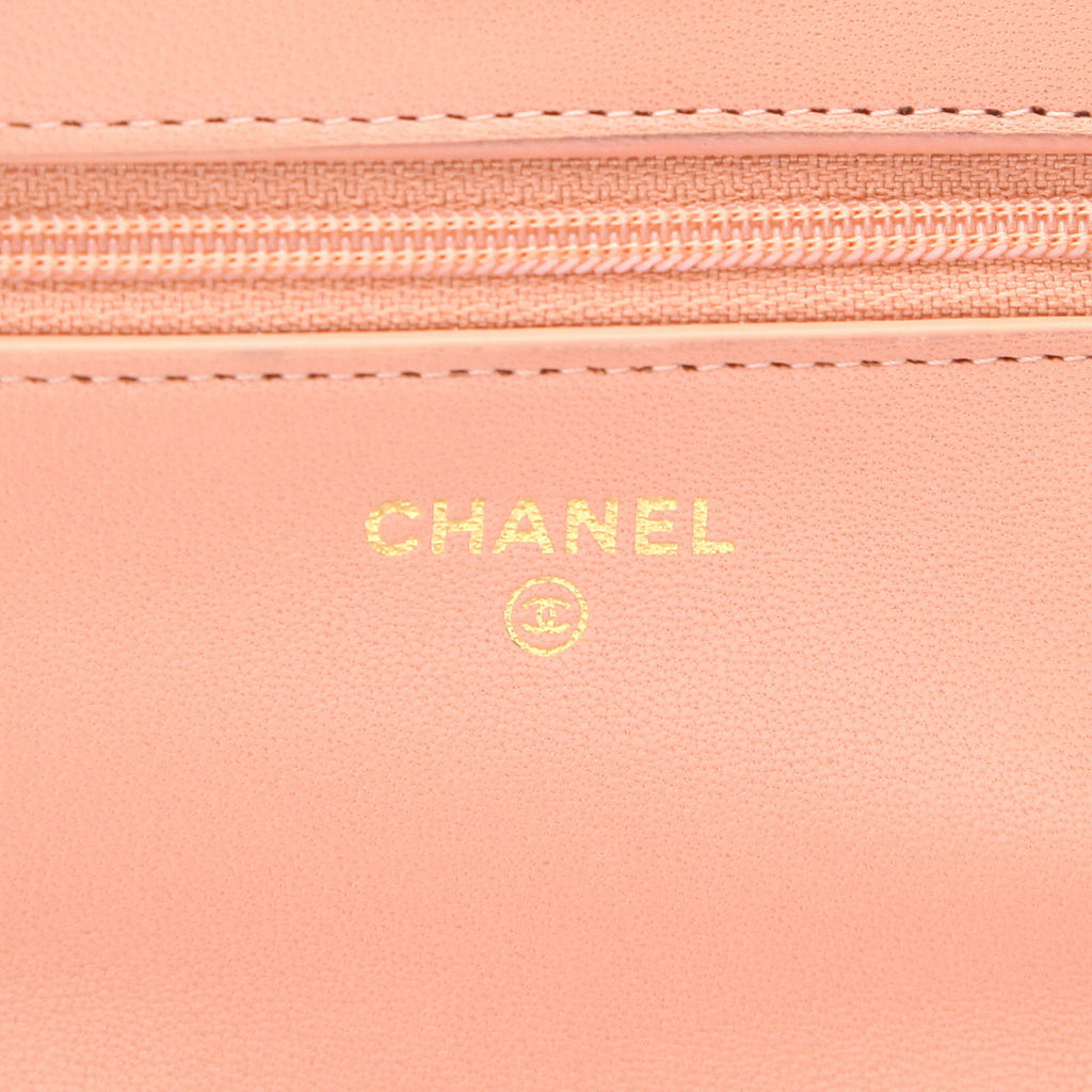 Chanel Wallet on Chain 19 shoulder bag in pink quilted leather - DETAIL 2