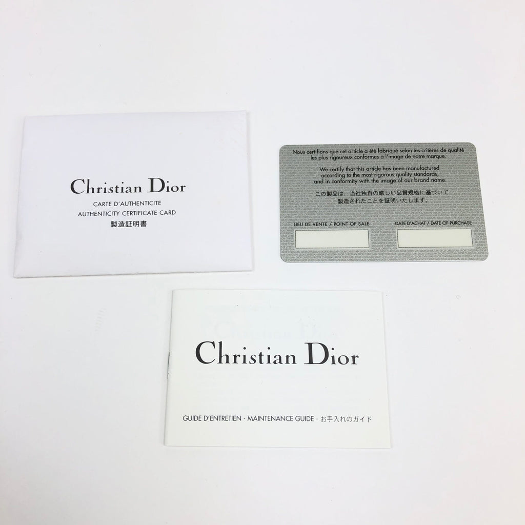 CHRISTIAN DIOR EXOTIC LIZARD DOUBLE SADDLE BAG