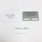 CHRISTIAN DIOR EXOTIC LIZARD DOUBLE SADDLE BAG