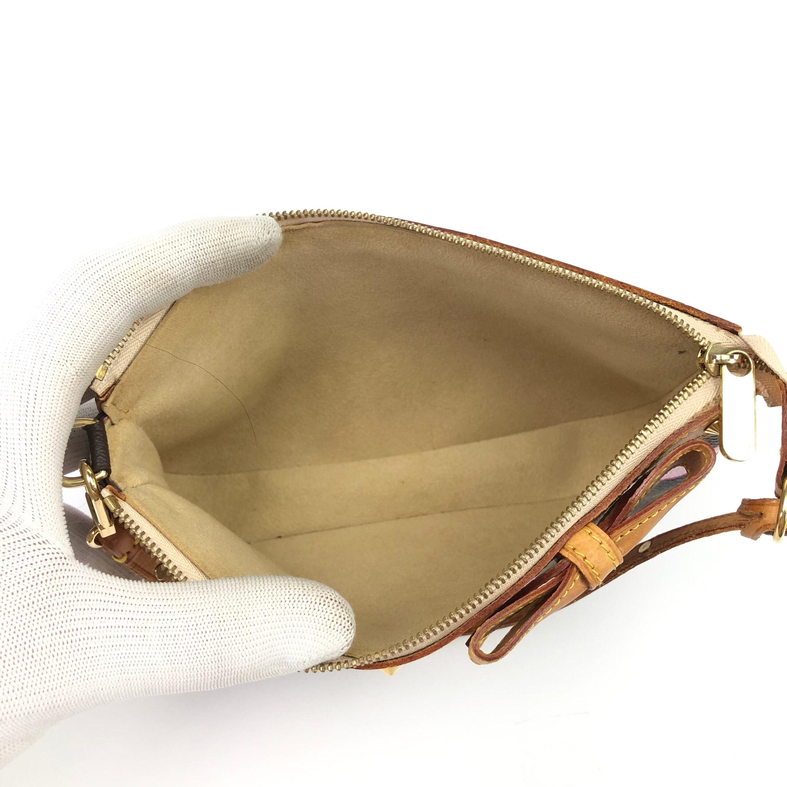 LOUIS VUITTON TAKASHI MURAKAMI FLOWER POCHETTE BAG
