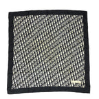 CHRISTIAN DIOR SCARF